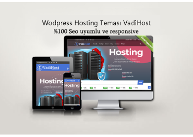 WordPress Hosting ve Kurumsal Teması